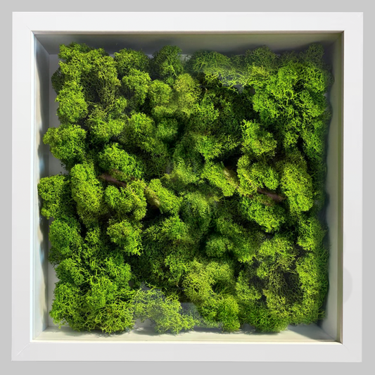 Quadro di verde stabilizzato
