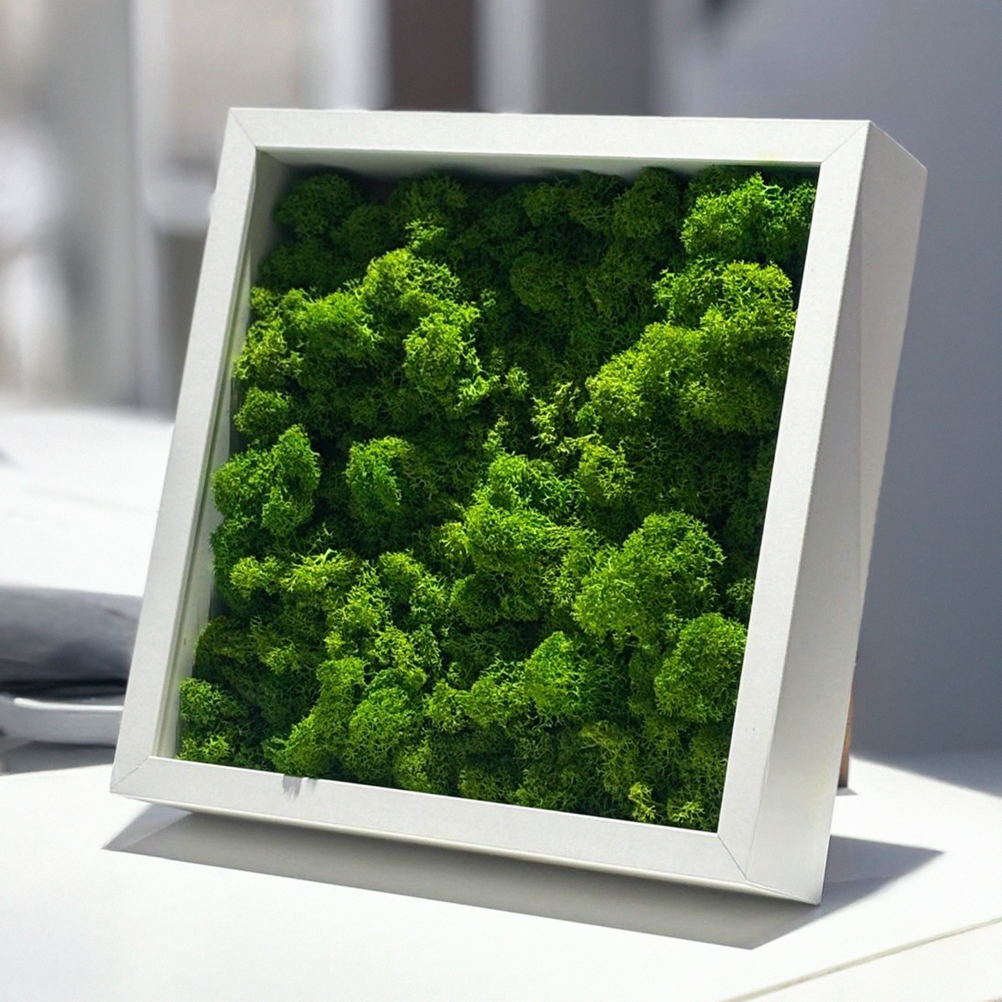 Quadro di verde stabilizzato
