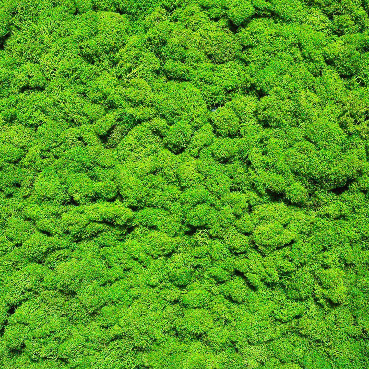 Quadro di verde stabilizzato